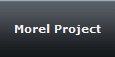 Morel Project